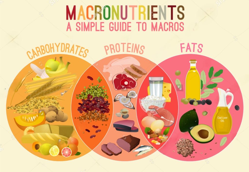 Macronutrients