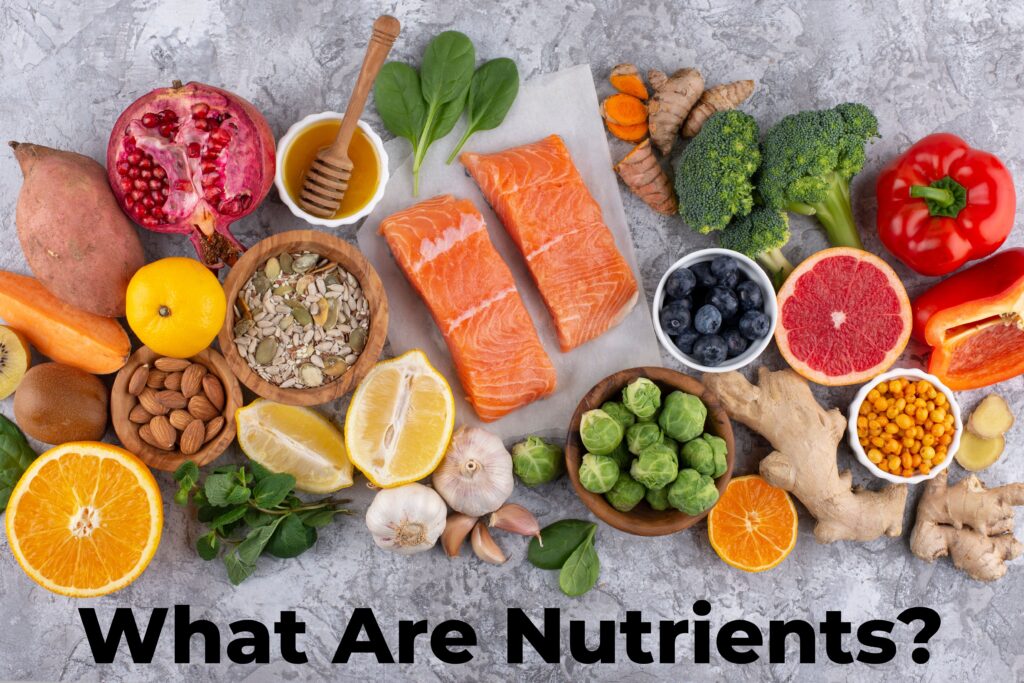 What Are Nutrients?