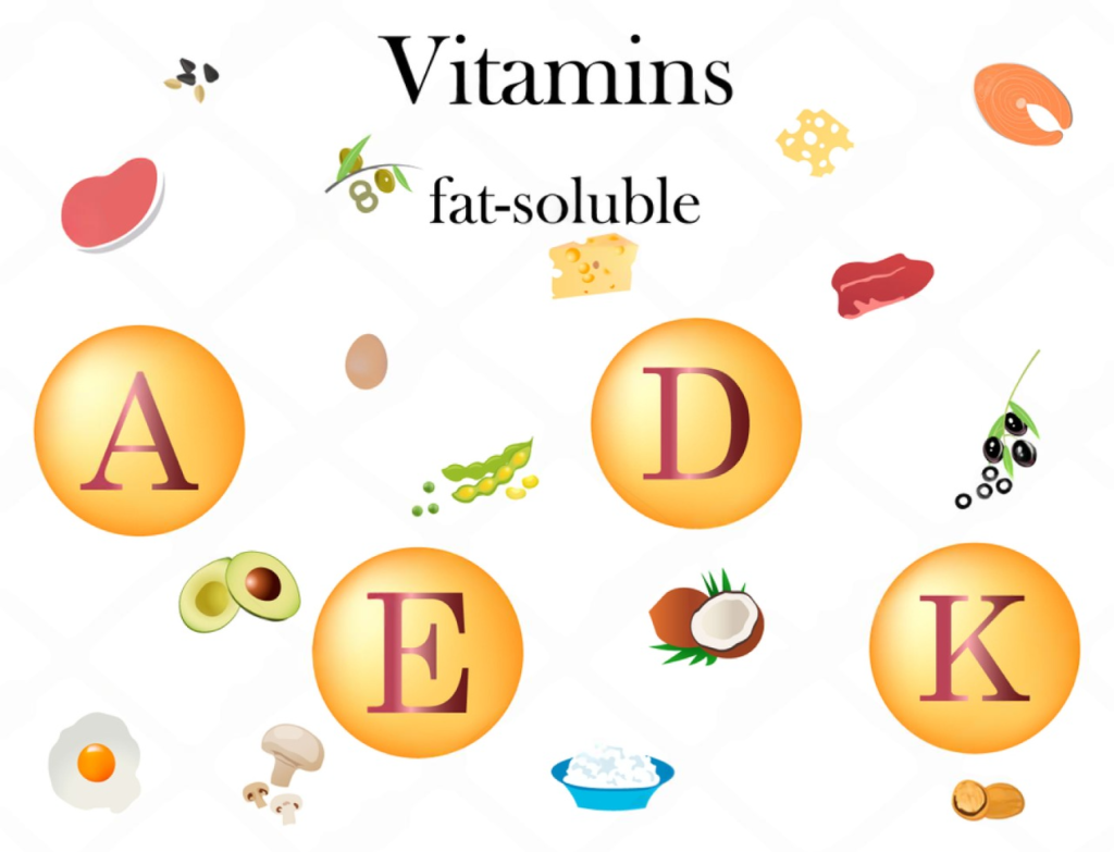 What Are Fat Soluble Vitamins Learn About Their Vital Health Roles