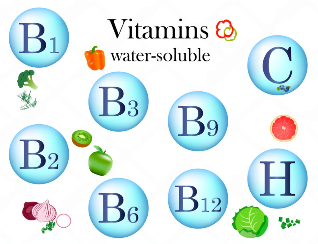 What Are Water-Soluble Vitamins and Why Are They Crucial?