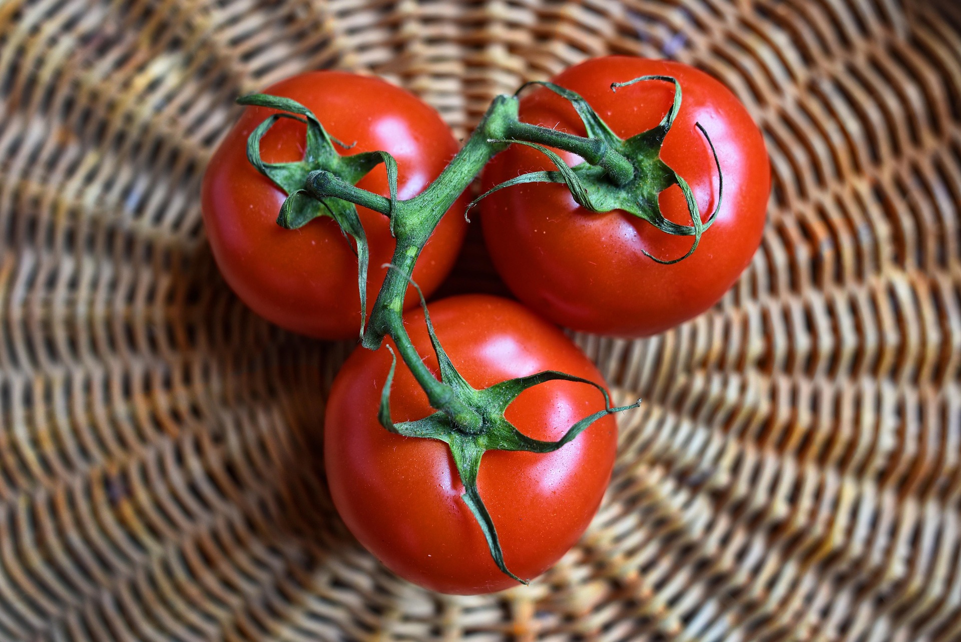 tomatoes 3520004 1920