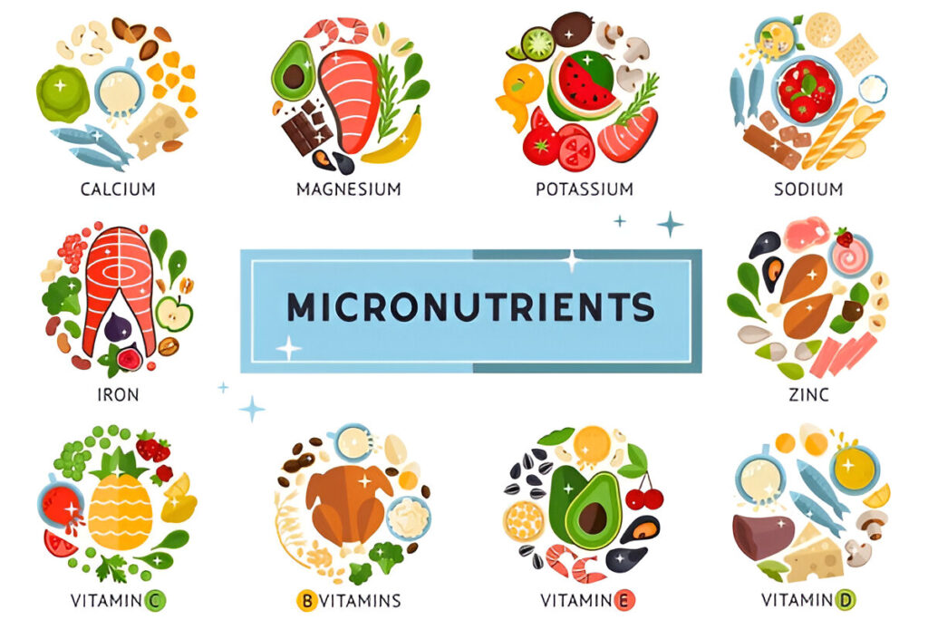 Understanding Micro Nutrients Essential Building Blocks for Health